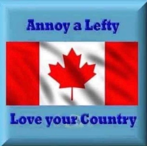 Meet your Posher, Curtis - Picture 1 of 1